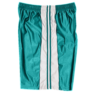 5"  ADULT  ATHLETIC SHORTS - Teal, M
