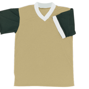 YOUTH SOCCER JERSEY - Vegas Gold, M