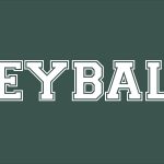 VOLLEYBALL