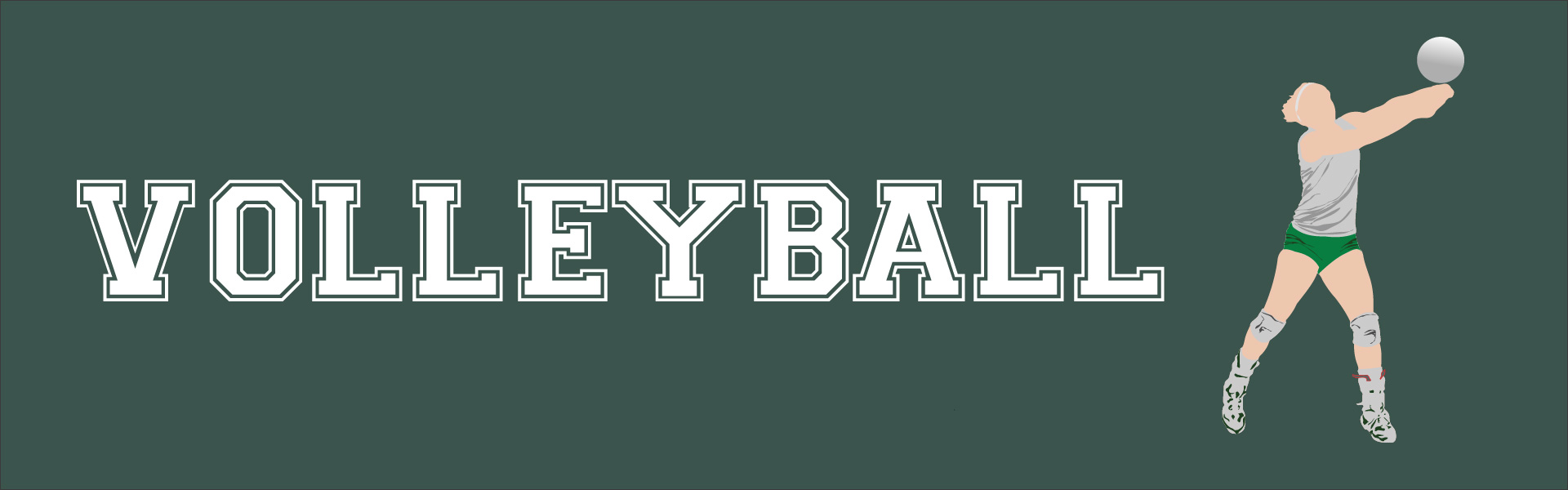 VOLLEYBALL Banner Image