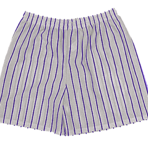 5"  YOUTH ATHLETIC SHORTS - Silver / Purple, M